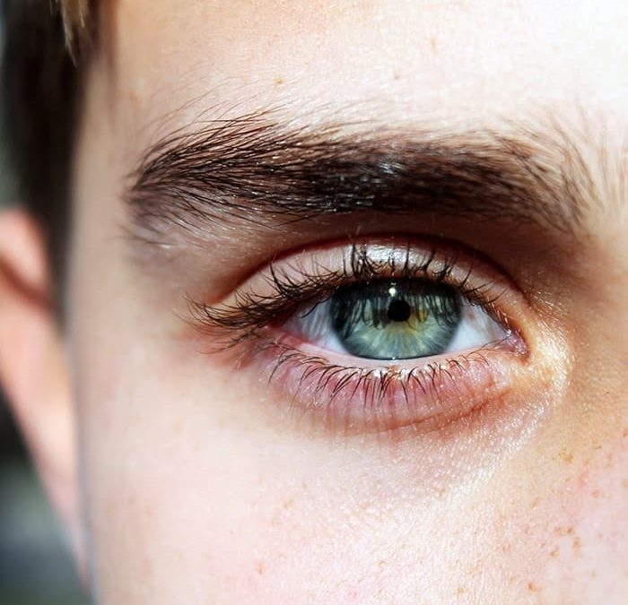 Why Do We Have Eyebrows And Eyelashes?